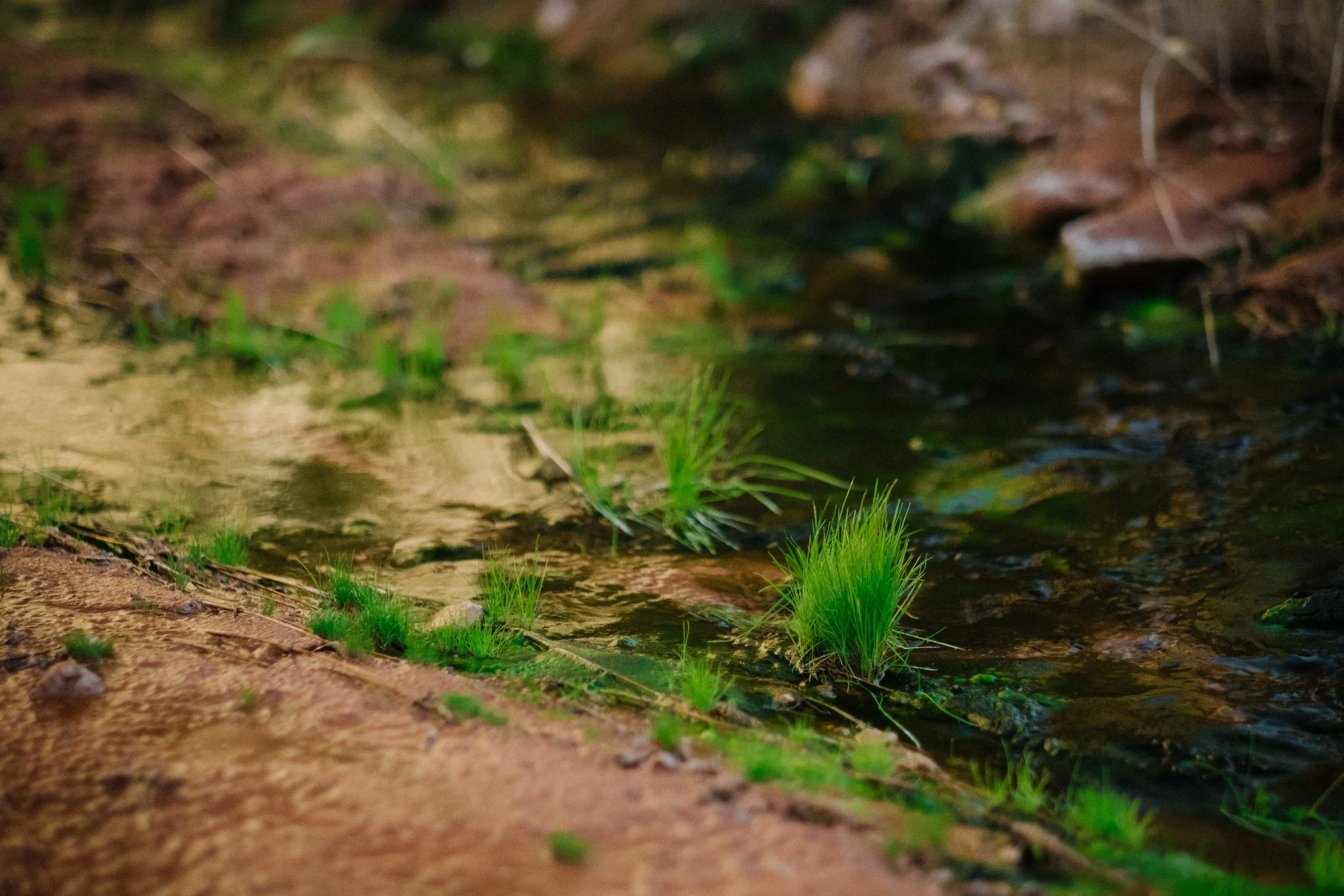 Fuji X-Pro2, 56mm f/1.2 Lens