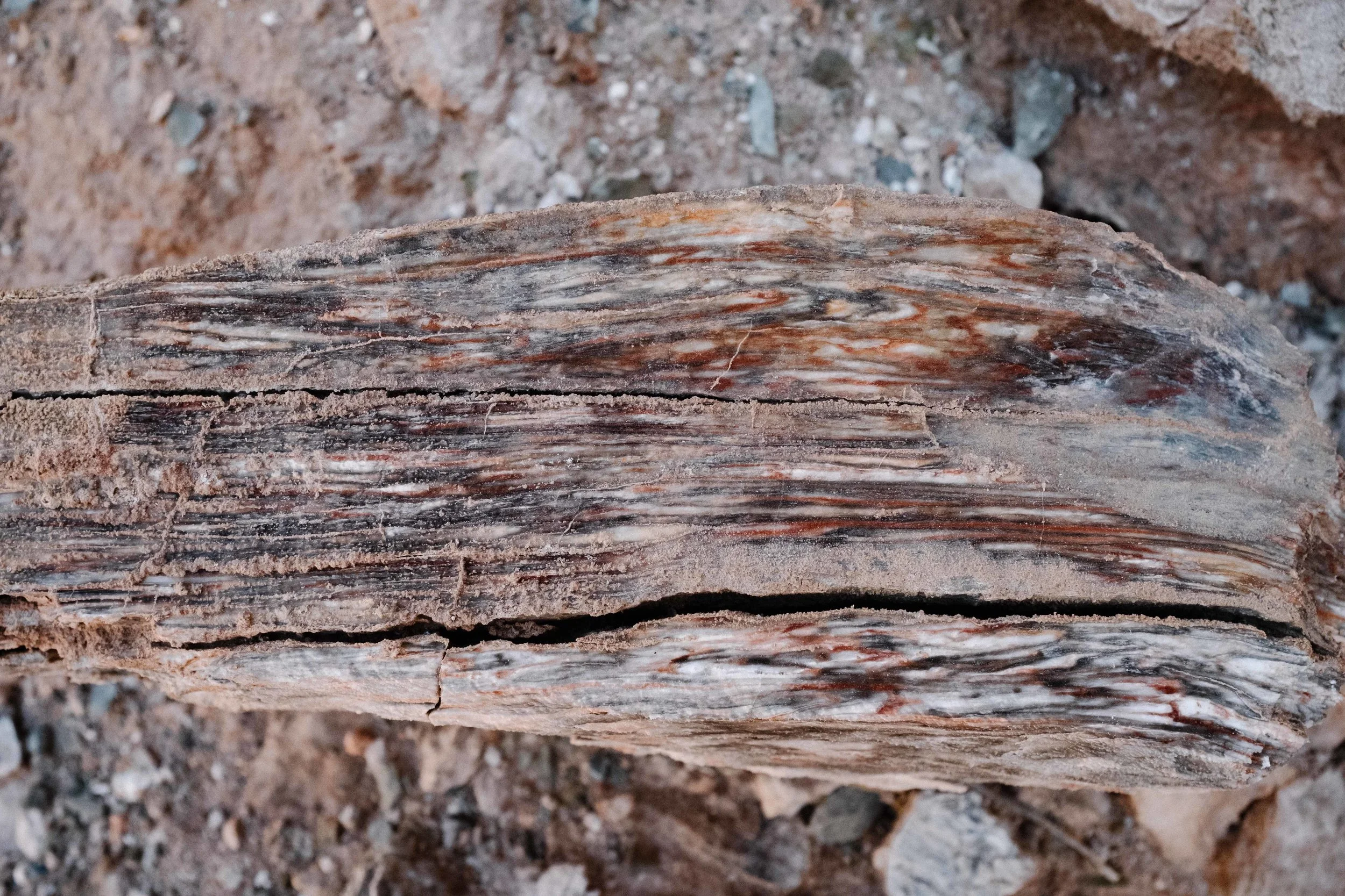 Interesting textures within the canyon wall layers. Fuji X100F