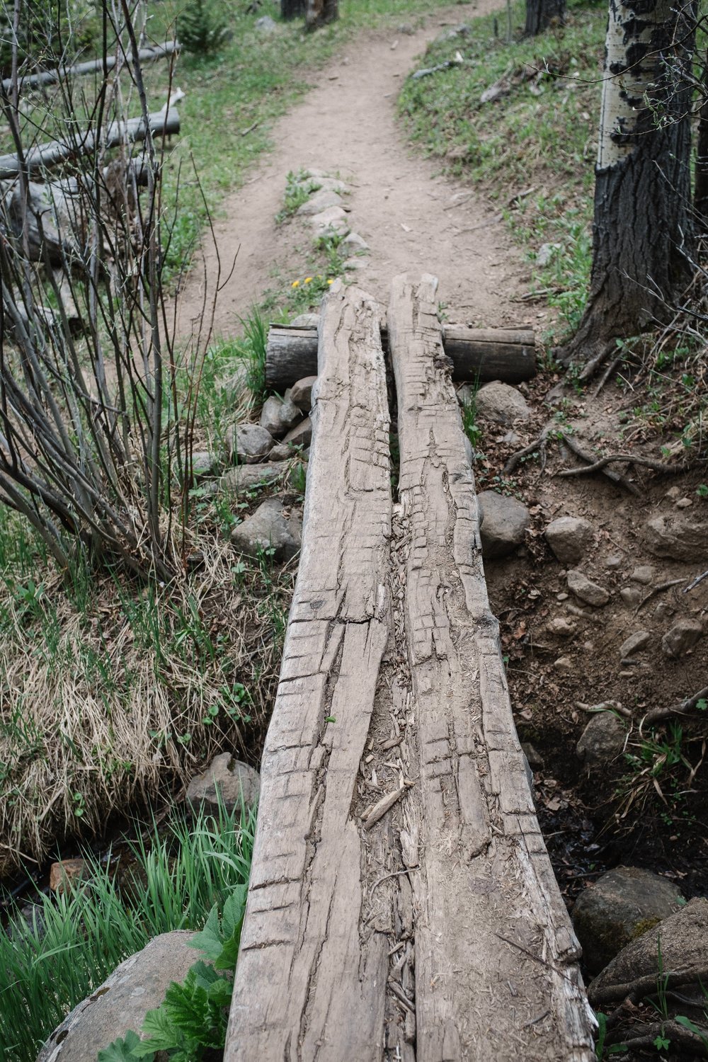 Creek Crossing