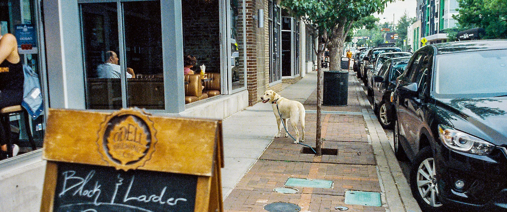 Cinestill_800_07282018_4.jpg