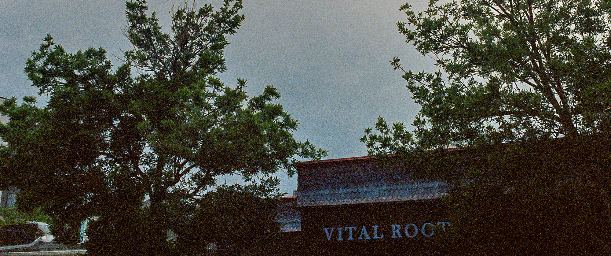 Cinestill_800_07282018_6.jpg