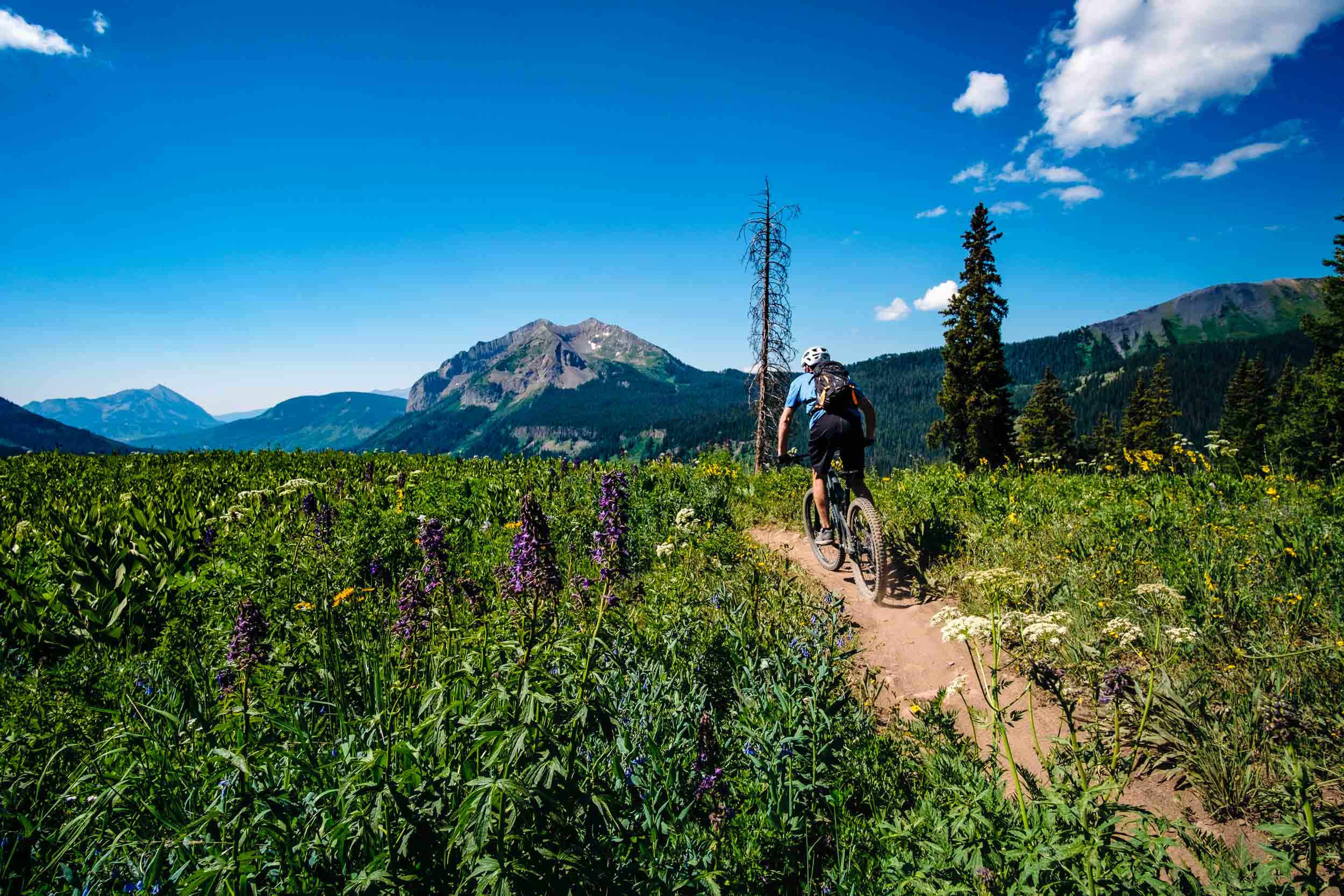  Mountain Biking on the 401 Trail outside of Crested Butte during wildflower season - Fuji XT2, Rokinon 12mm f/2 