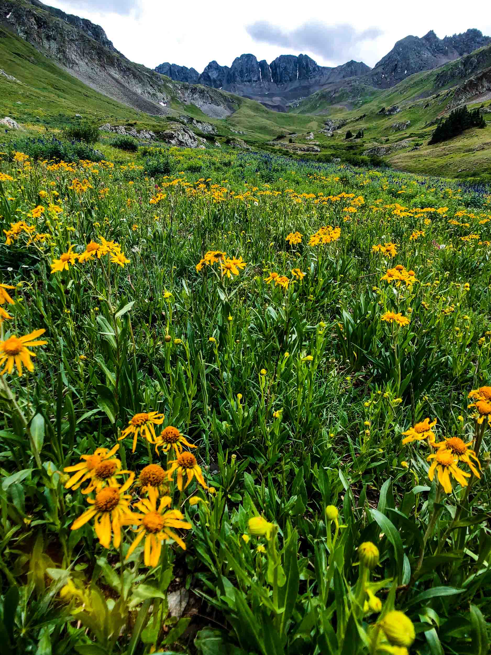  Mule Ear fill the valley of American Basin - iPhone 8 Plus, Moment Wide Lens, Snapseed 