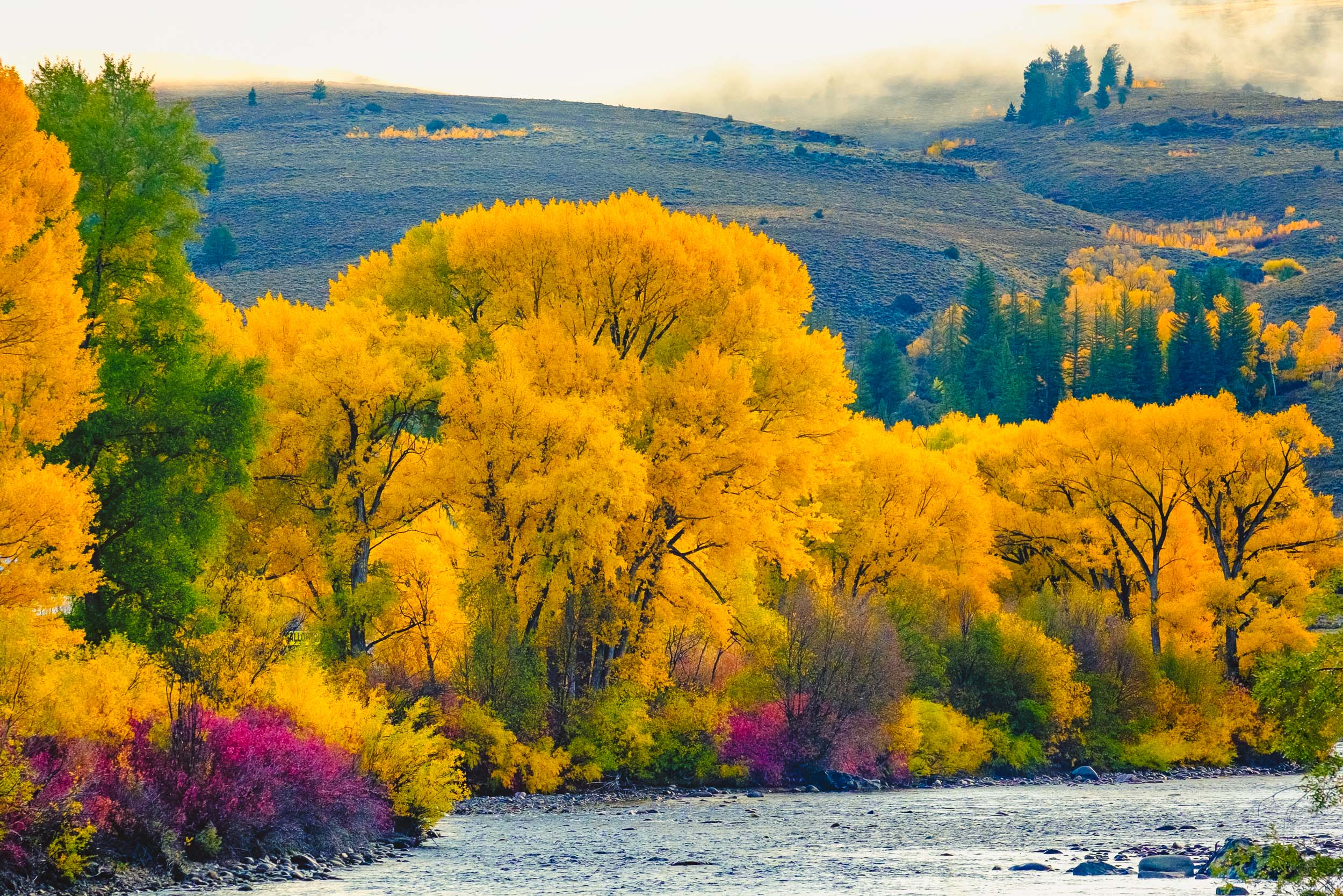 Colors along the Gunnison River