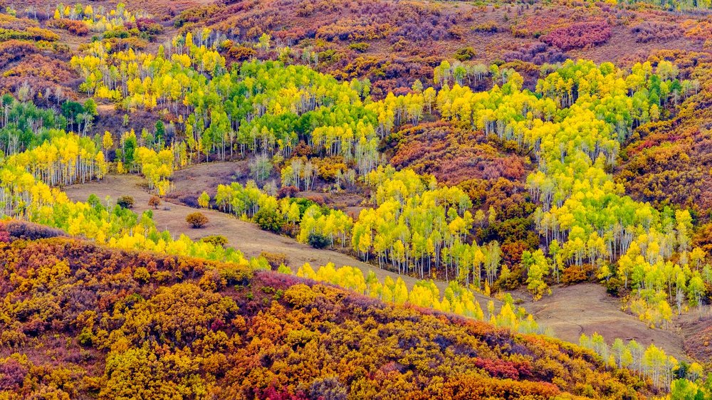  Fall Colors along the Cimmaron Mountain Range Fuji XT2, XF 50-140mm f/2.8 @ 110.6mm 