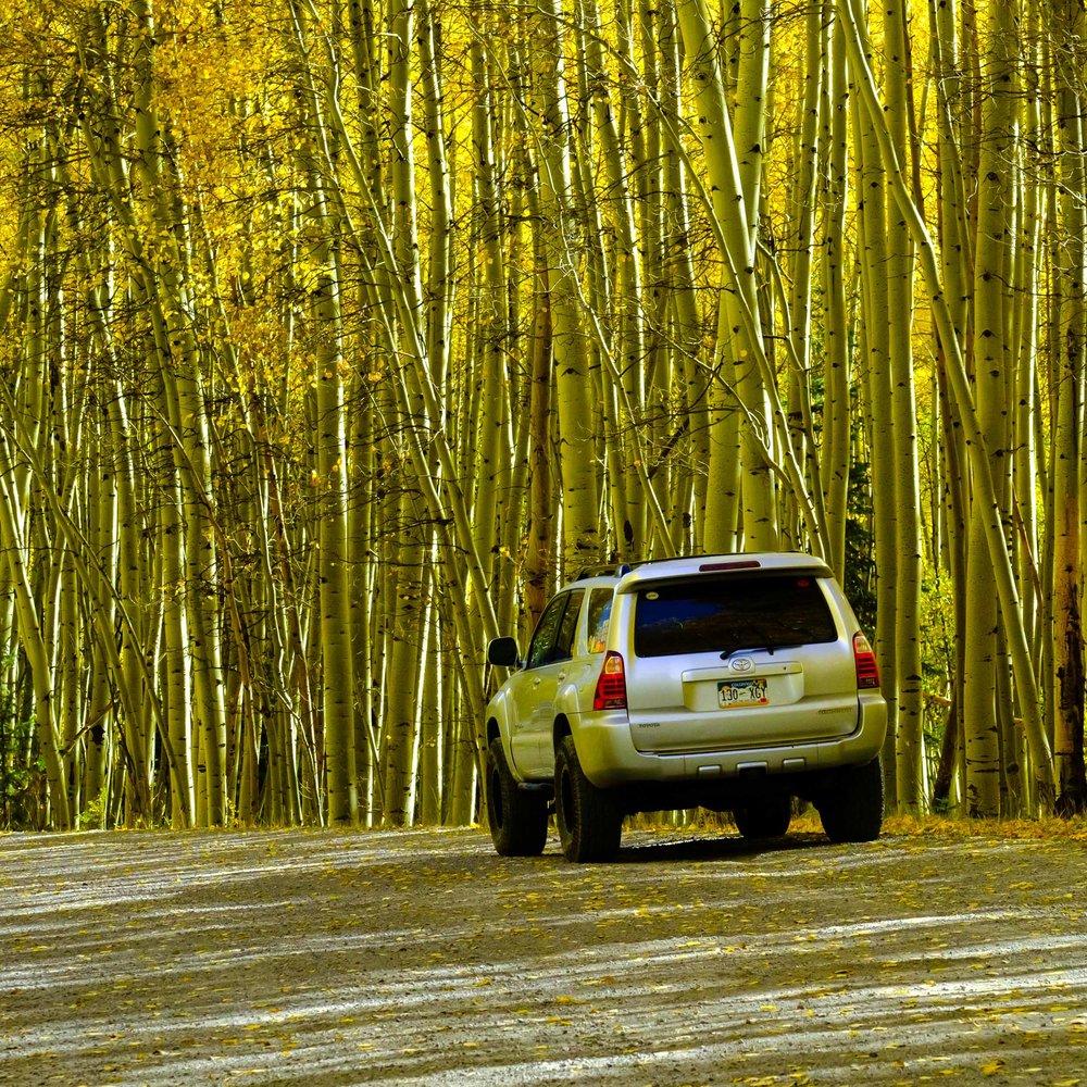  Shadows of Aspens hover over the Toyota 4Runner - Fuji XT2, XF 50-140mm f/2.8 @ 77.3mm 