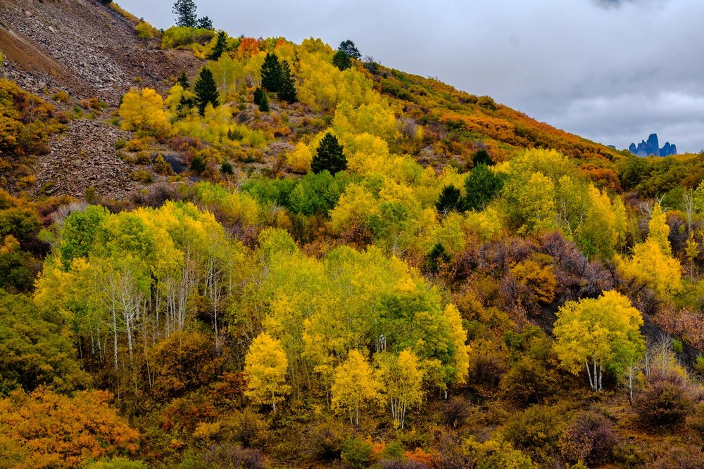  The earth tones of fall color along Owl Creek Pass - Fuji XT2, XF 50-140mm f/2.8 @ 66mm 