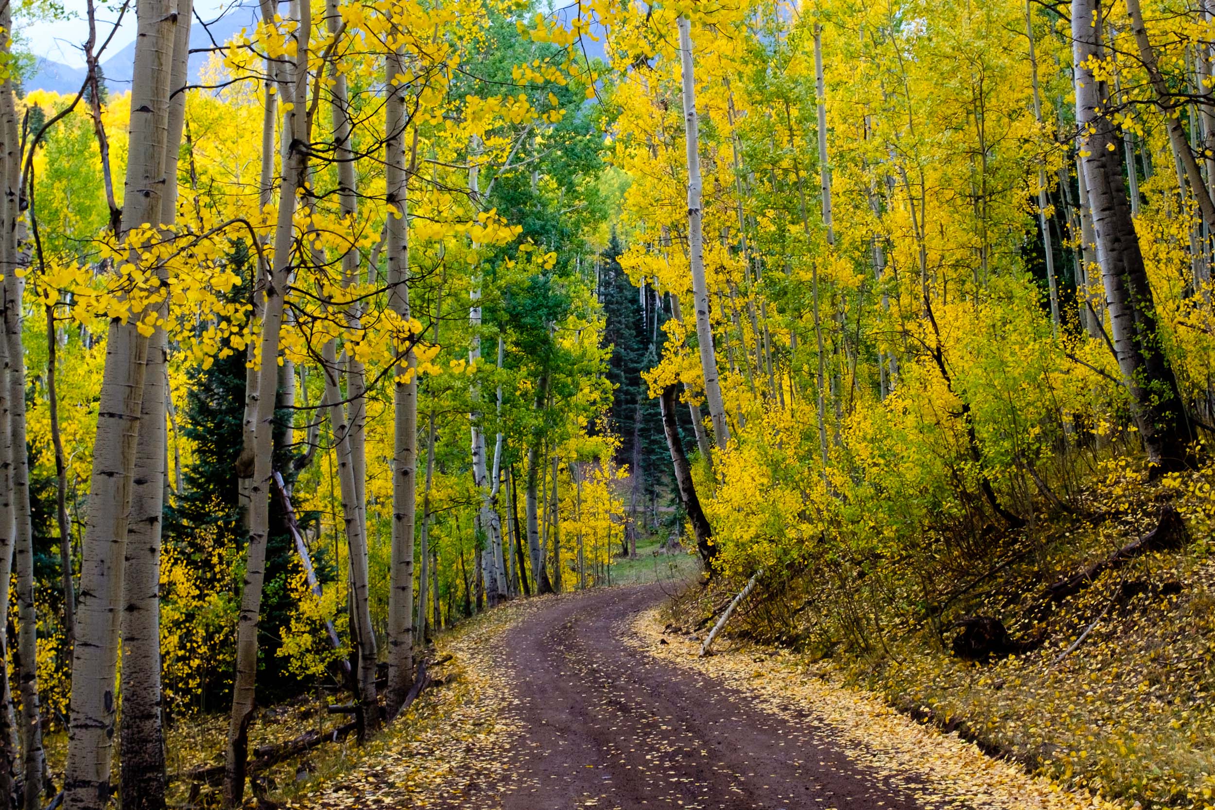  The road along Miller Mesa - Fuji X100F 