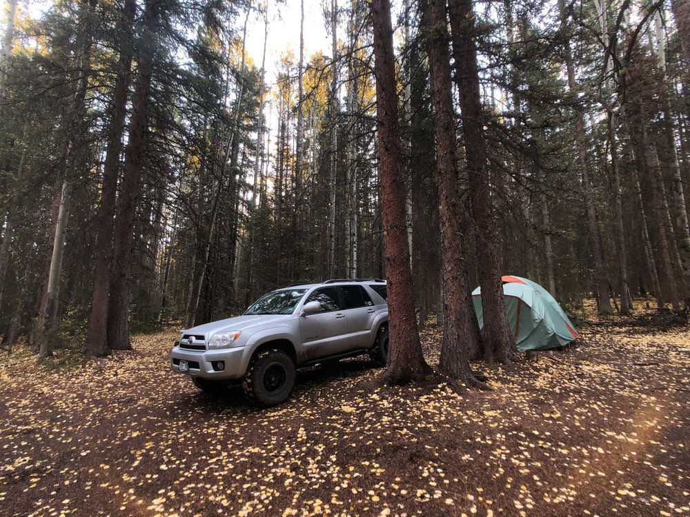  There were plenty of dispersed camping spots in the Uncompahgre National Forest - iPhone 8 Plus, Moment Wide Lens 