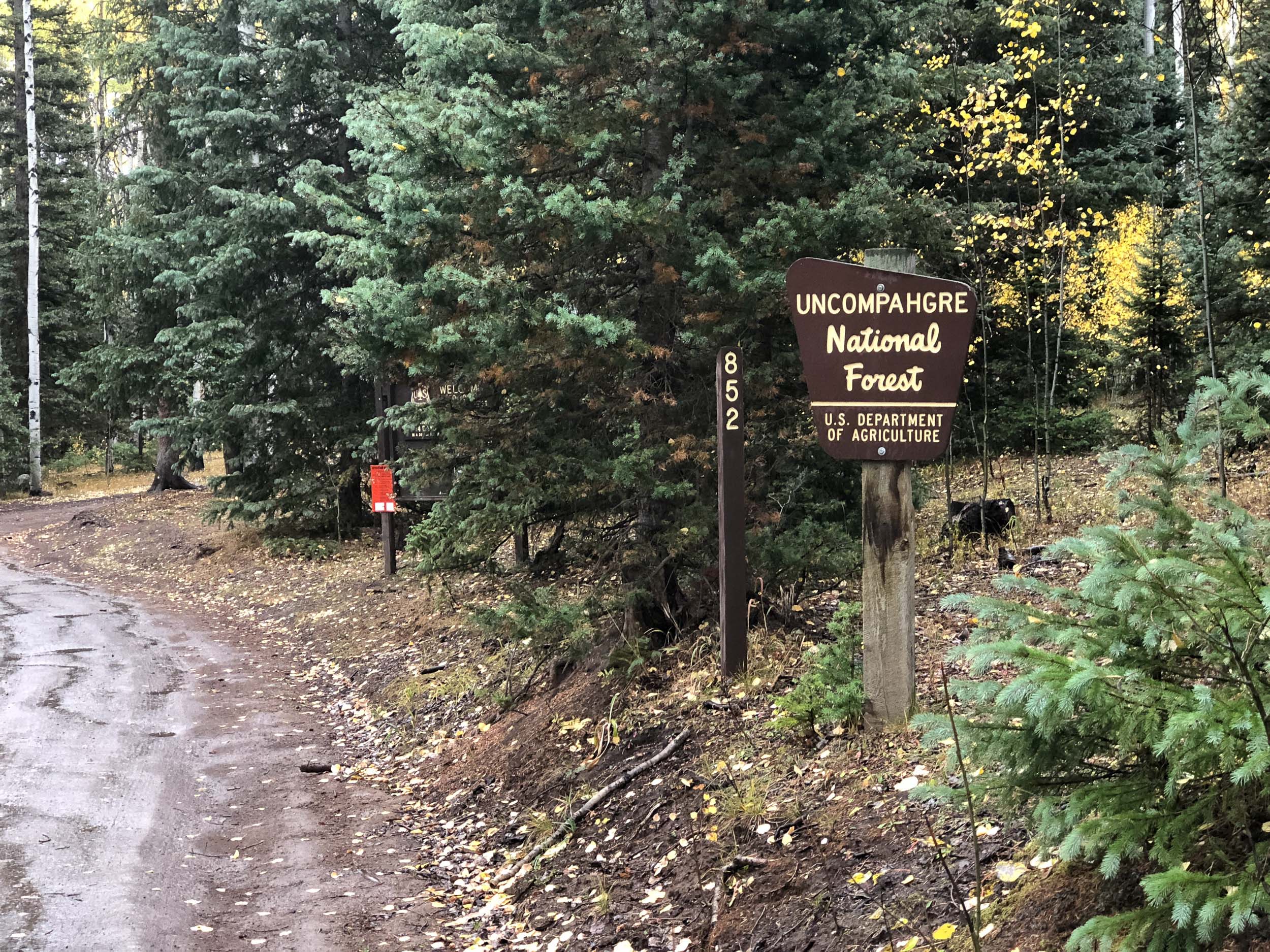  Uncompahgre National Forest Sign - iPhone 8 Plus 