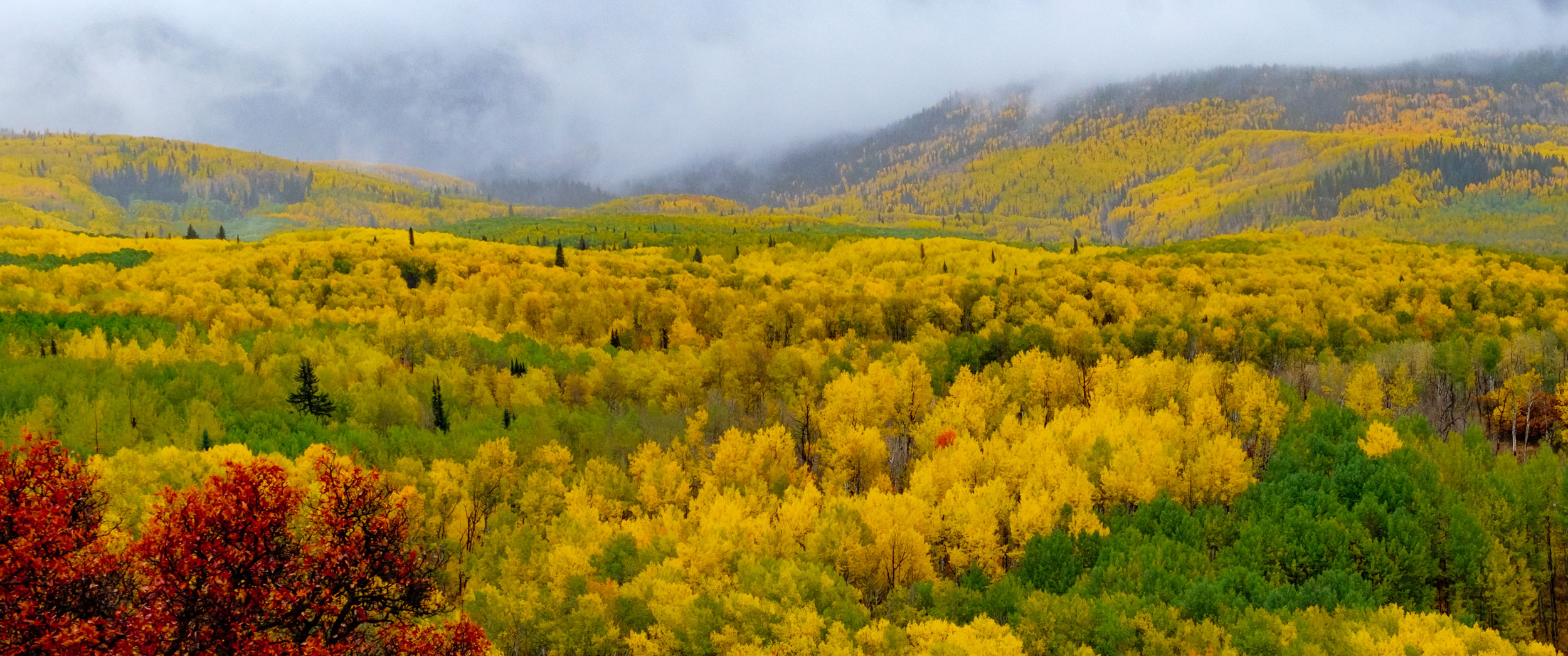  Colors along the West Elk Mountains - Fuji XT2, XF 50-140mm f/2.8 @ 54.1mm 