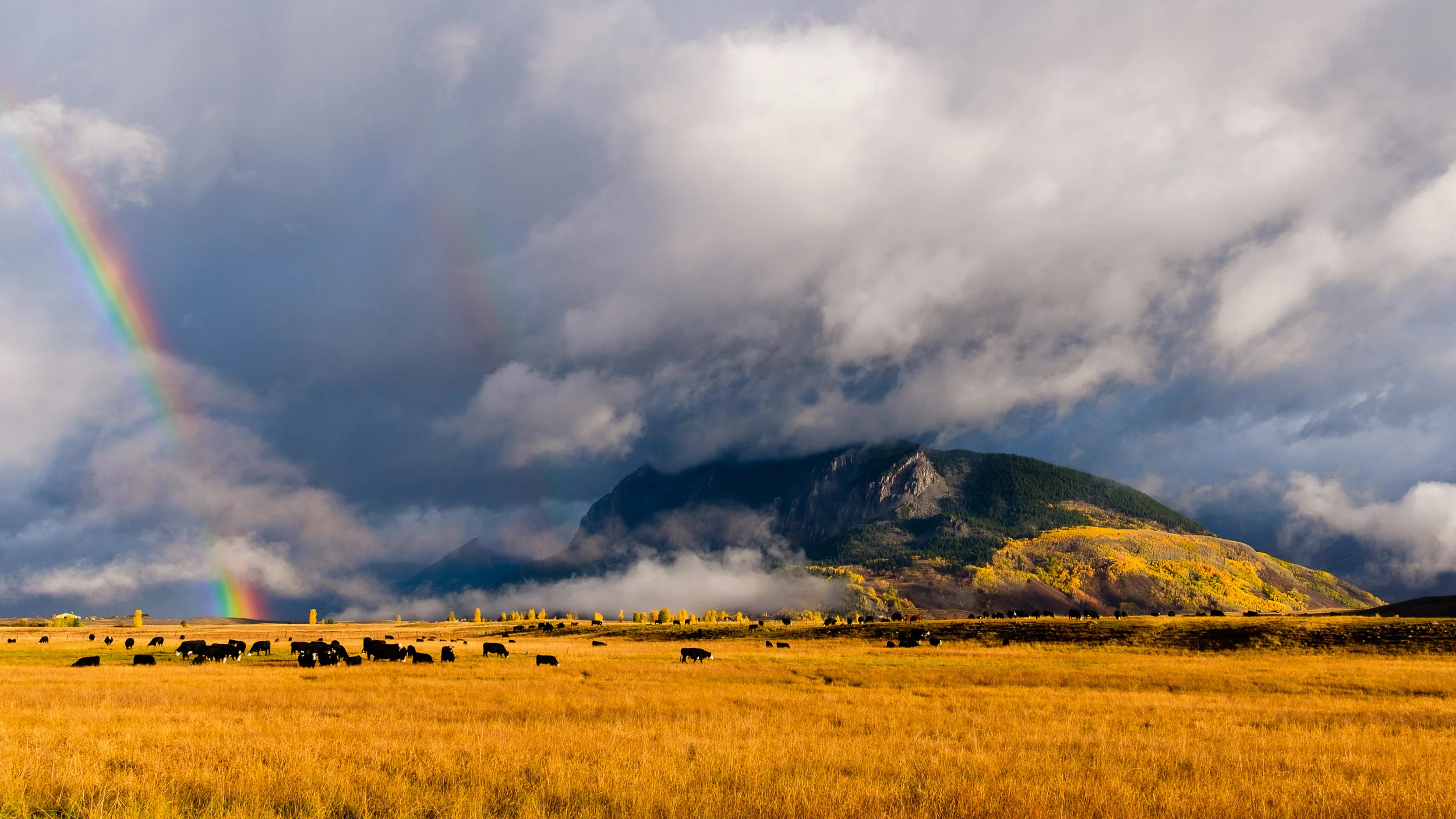 A Double Rainbow near Strand Hill as the cows graze in the fall near Crested Butte, Colorado - Fuji XT2, XF 23mm f/2 WR