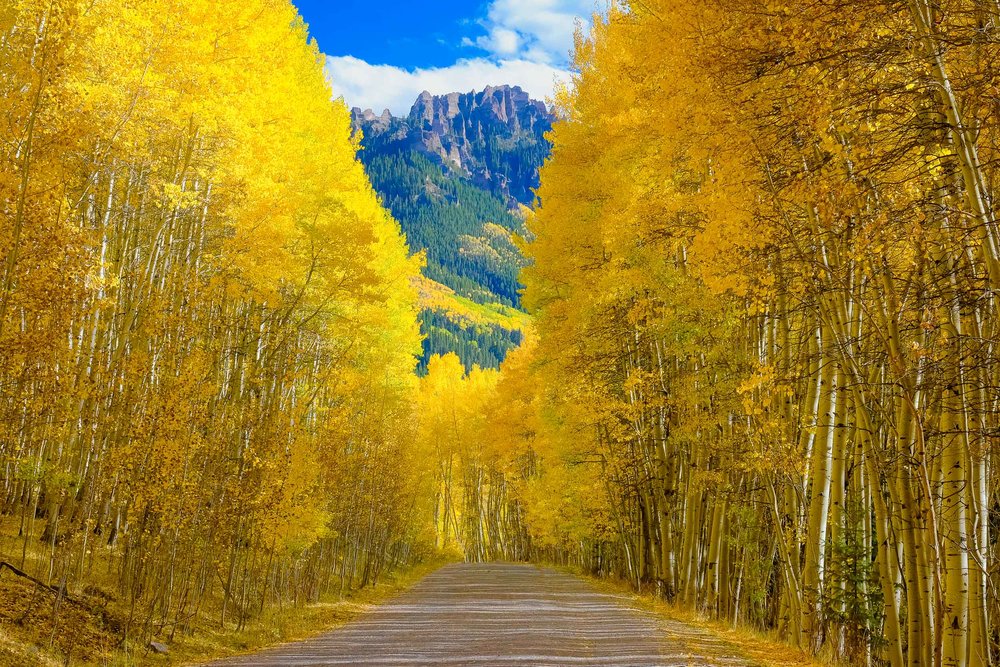  Owl Creek Pass along the Cimmaron Mountain Range during the fall season - Fuji X-T2, XF 50-140mm f/2.8 @ 50mm 