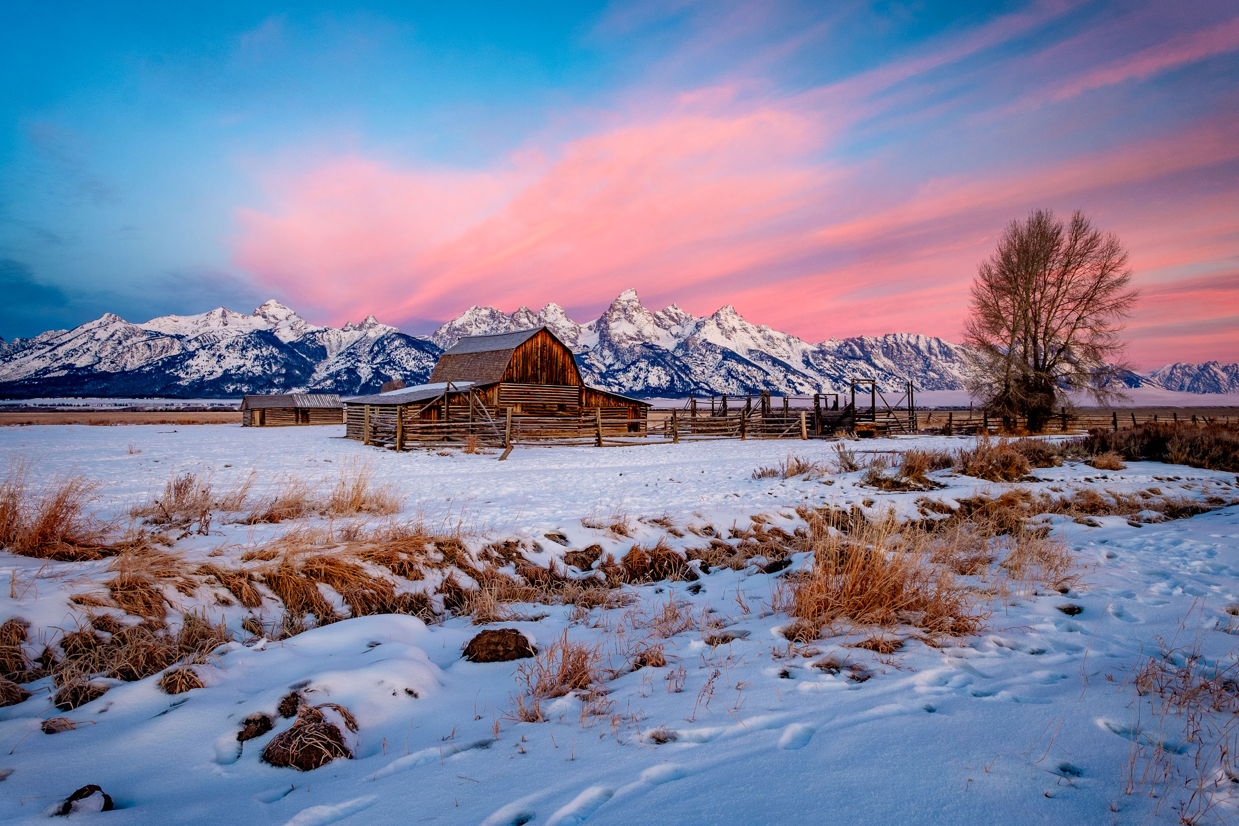  This was one of those perfect days with color in the sky. Boy it was cold. As we drove up on Mormon Row, the crowd of photographers were at the Thomas Moulton Barn. No one else had made the trek down toward John’s barn so we headed down. I like to t