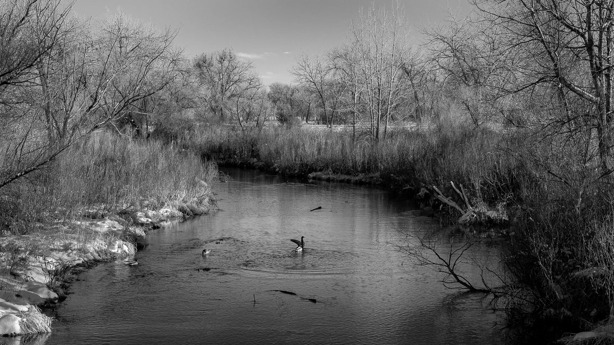 Fuji XT-2, XF 35mm f/2, Acros R Film Simulation