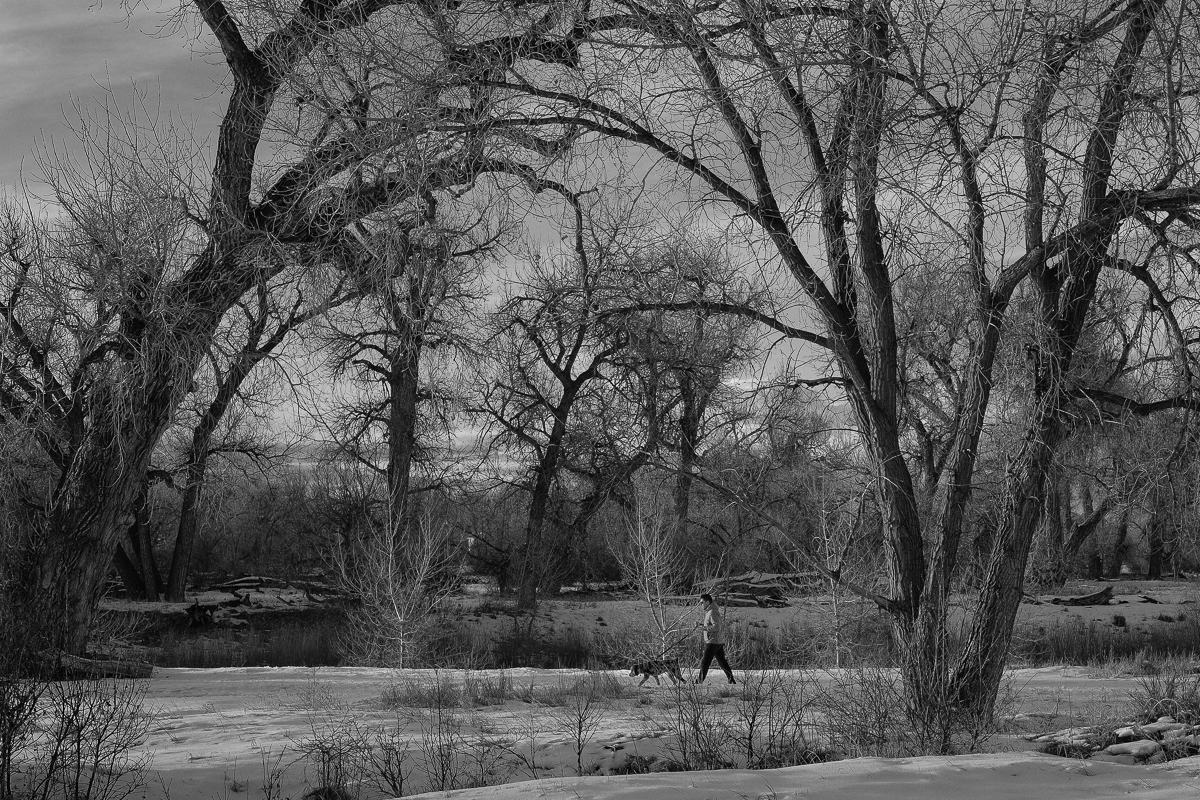 Day 18 - 365 Day B&W Challenge - Man out for a winter's day walk with his dog. Fuji XT2, XF 35mm f/2, Acros R Film Simulation