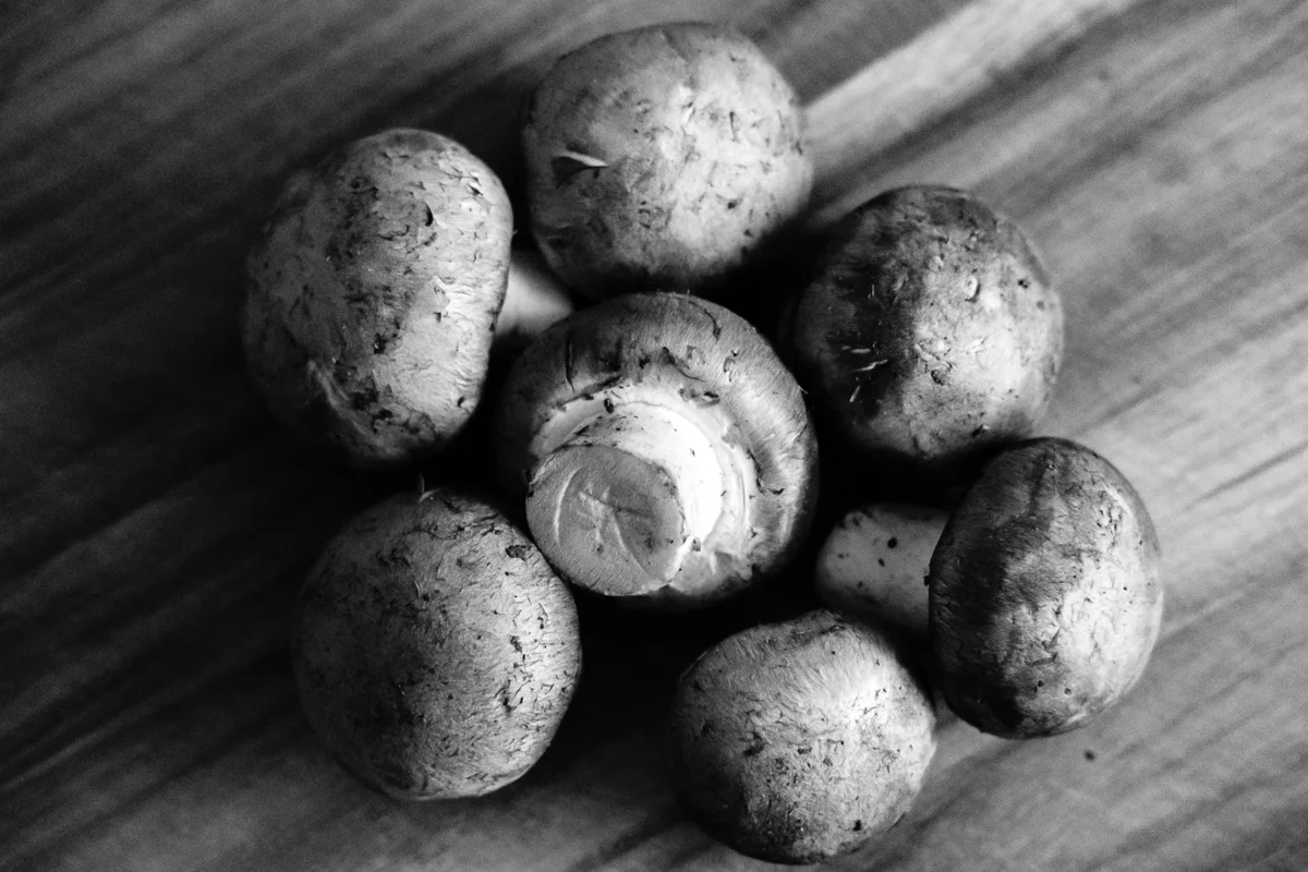 Day 32 - 365 Day B&W Photo Challenge - Mushrooms lit by window light - Fuji XT-3, XF35mm f/2, Acros R Film Simulation