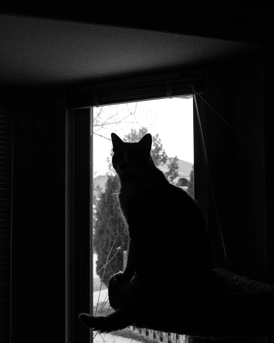 Fuji X100F, Acros R Film Simulation