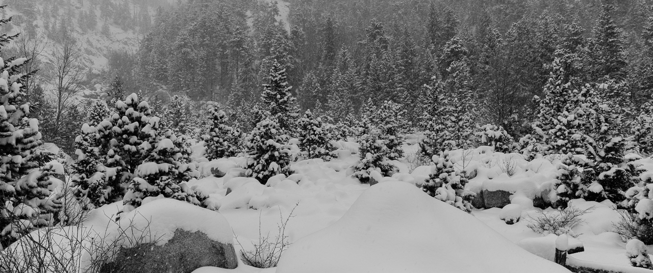 A snow storm at Alluvial Fan in Rocky Mountain National Park 