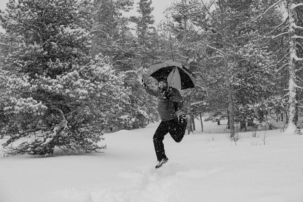  Chase “Dancing in the Snow” on the trail. 