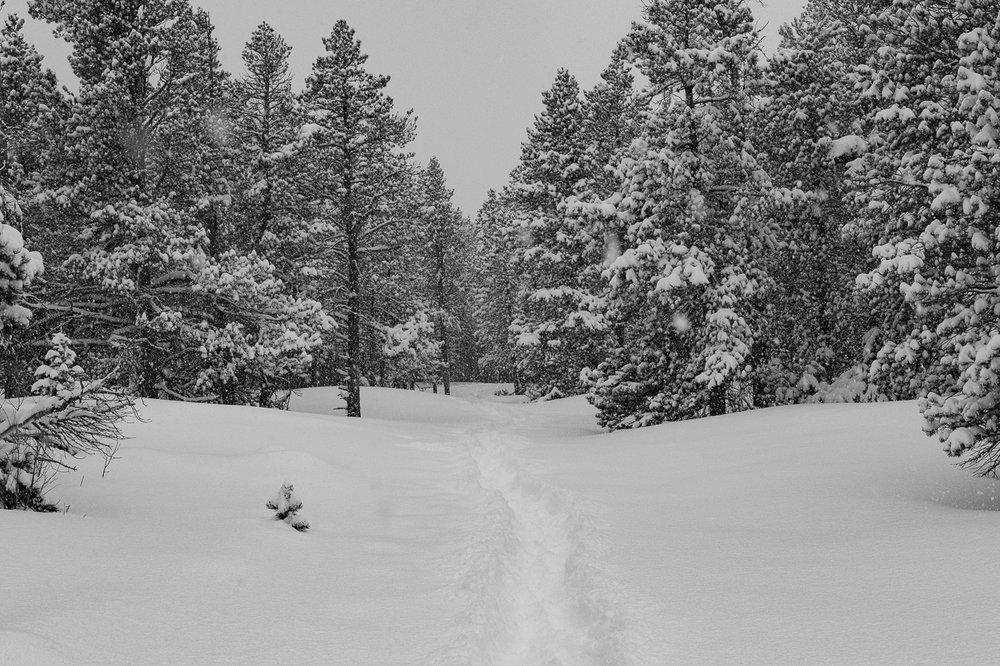  Trail through the deep snow 