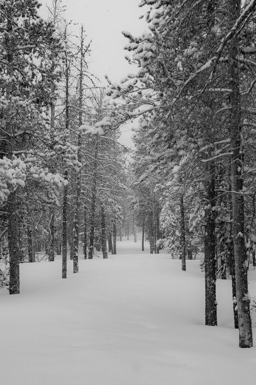  The snow covered Boulder Brook Trail 