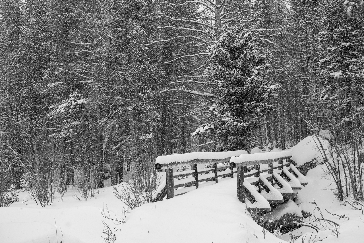  The bridge leading across glacier creek 