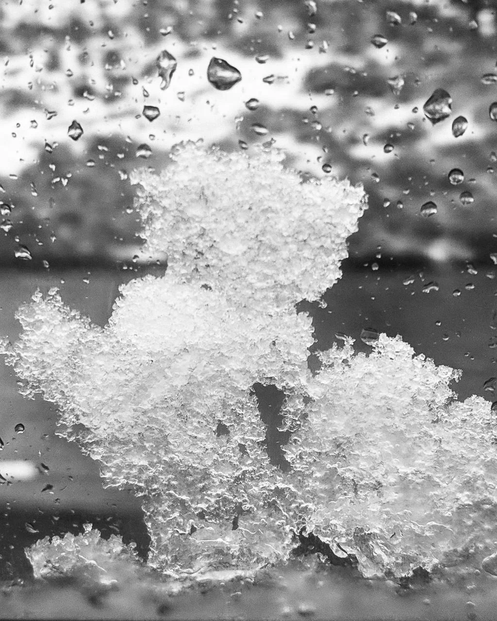 Day 123- 365 Day B&W Photo Challenge - A little spring snow here in the Front Range - Google Pixel 3, VSCO Neopan Acros 400 Film Simulation