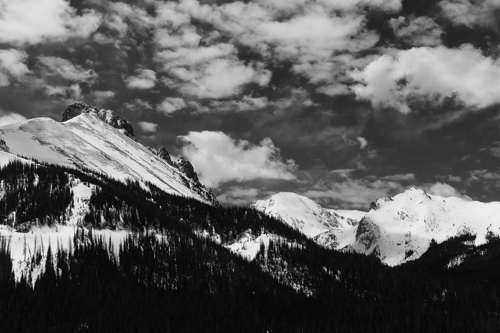 Fuji X-T3, XF23mm f/2, Acros R Film Simulation