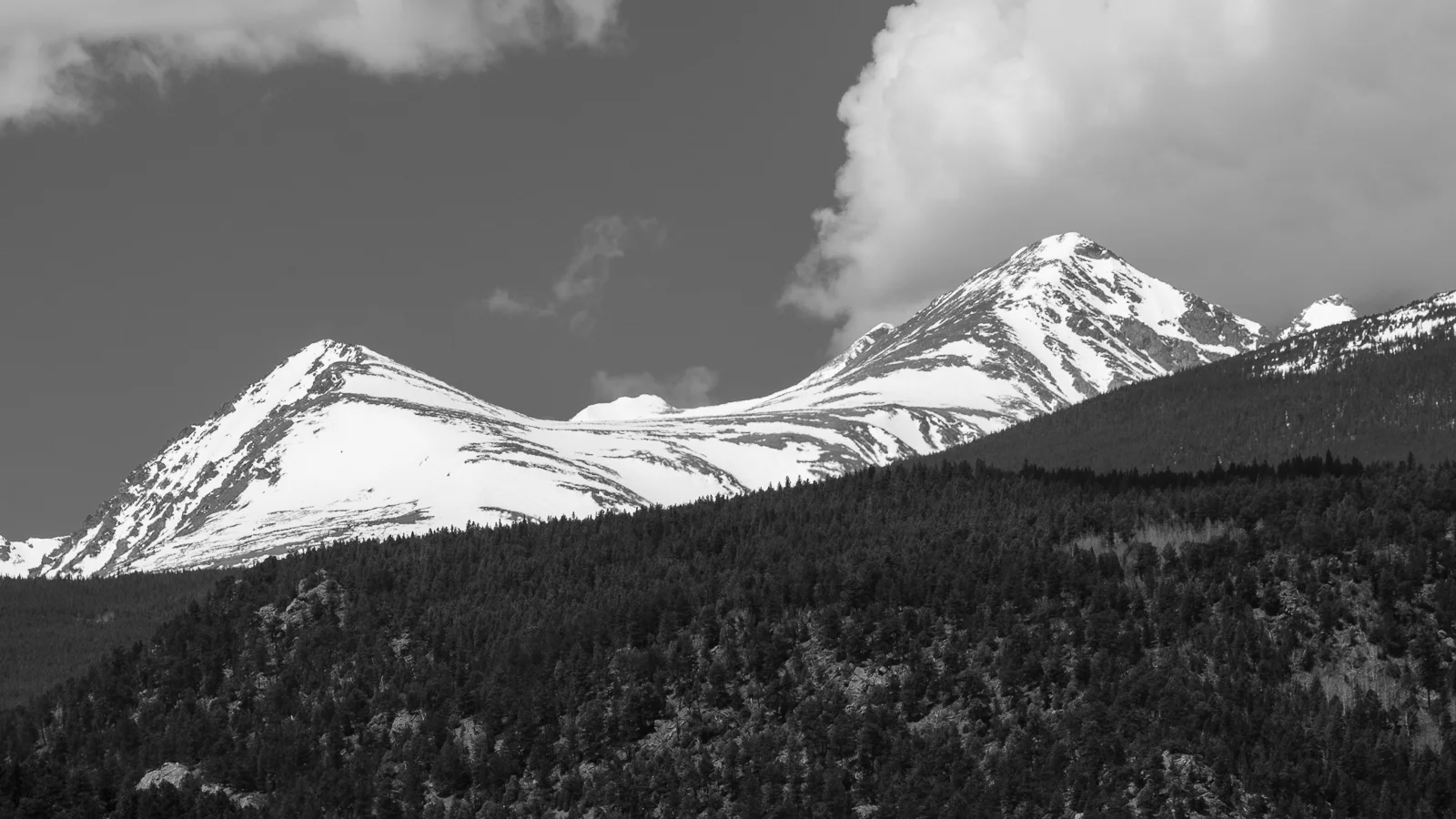 Fuji X-T3, XF50-140mm f/2.8, Acros R Film Simulation
