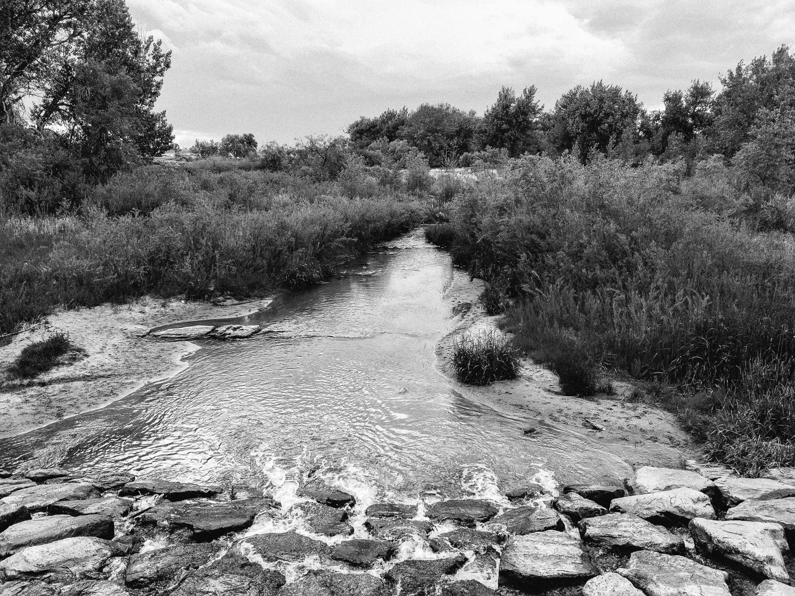 Google Pixel 3, VSCO Kodak Tri-X400 Film Simulation