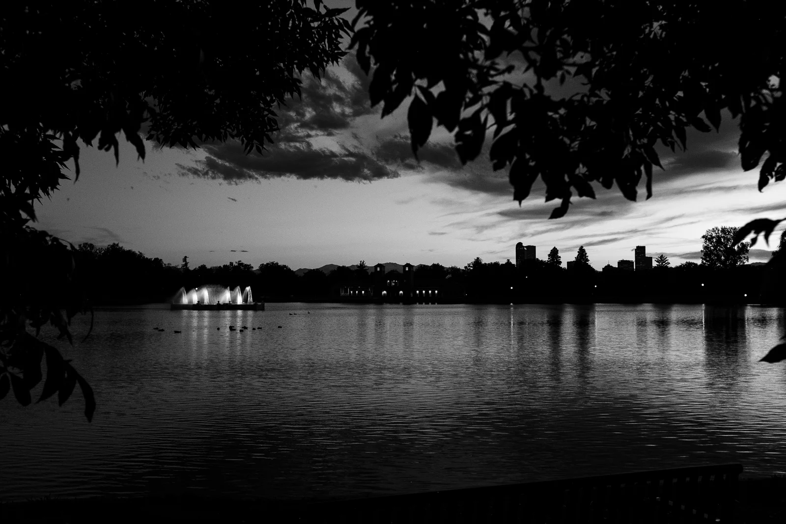 Day 163- 365 Day B&W Photo Challenge - Sunset at City Park in Denver, Colorado. - Fuji X100F, Acros Film Simulation