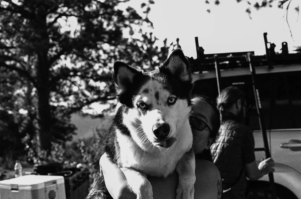 Minolta X-700, 50mm f/1.4, Ilford HP5 Plus Film