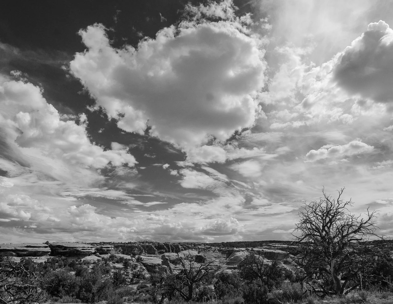 Day 211 - 365 Day B&W Photo Challenge - The midday skies cover the desert landscapes. - Fuji X-T3, XF 14mm f/2.8, Acros R Film Simulation
