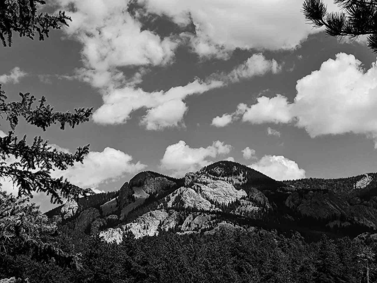 Day 238 - 365 Day B&W Photo Challenge - Wonderful views of Black Mountain outside of Pike National Forest - Google Pixel 3 , Prbocessed with VSCO with b3 preset