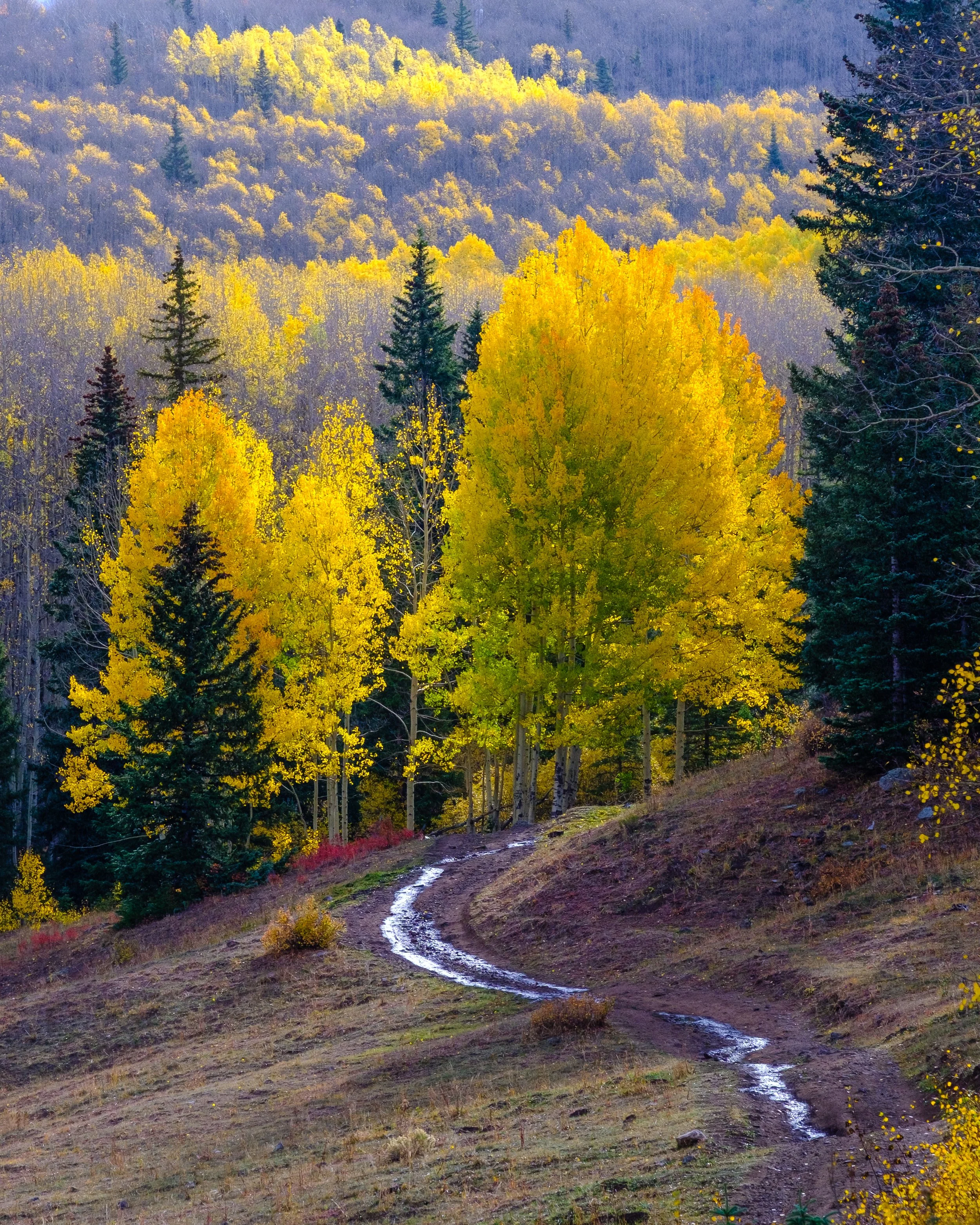 Along the Road Less Traveled.jpg