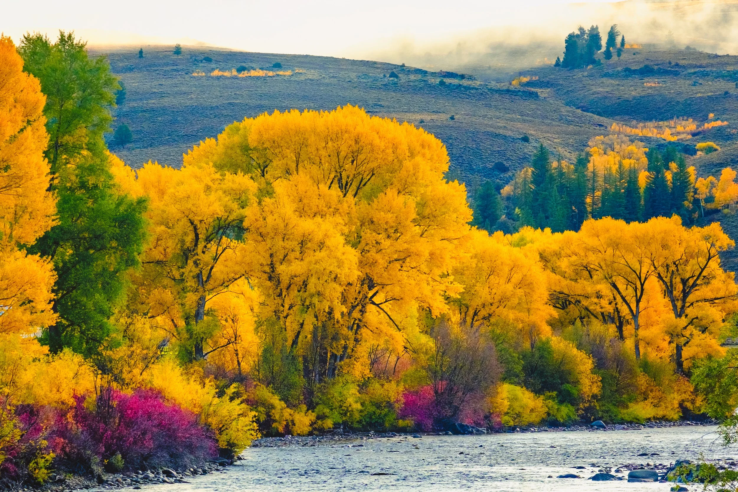 Colors along the Gunnison River.jpg