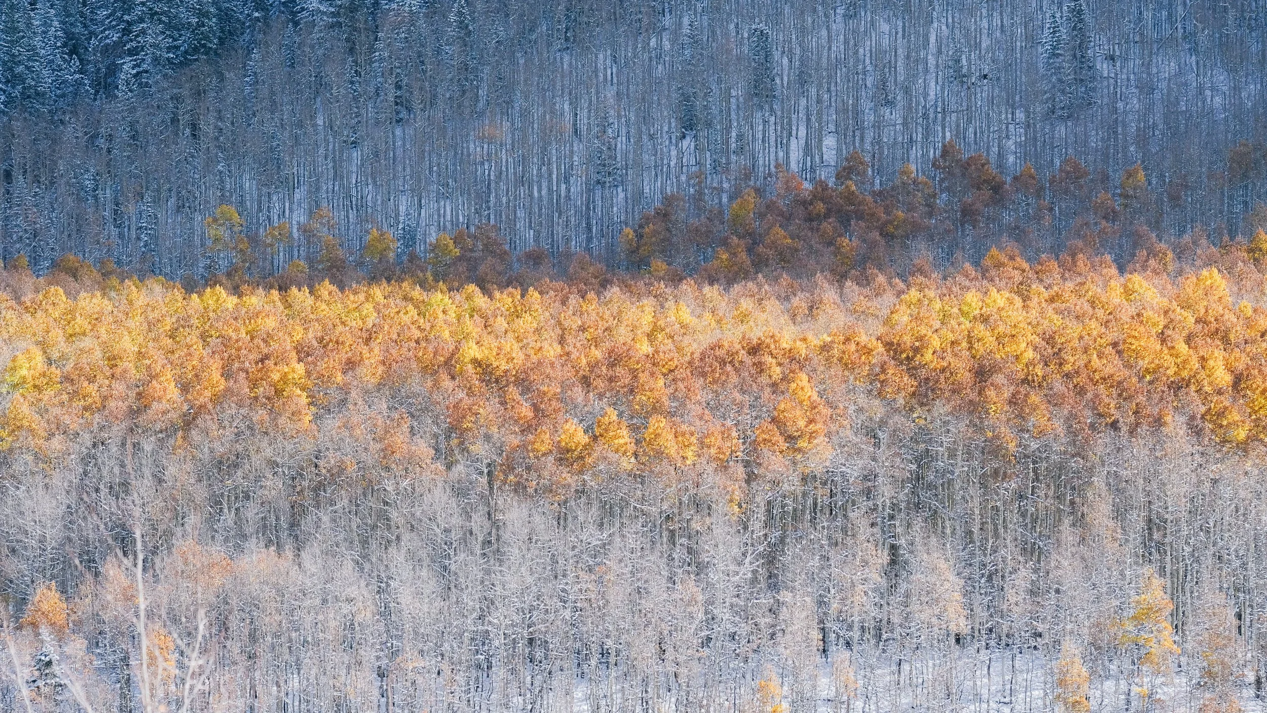 First Snow on Kenosha Pass.jpg