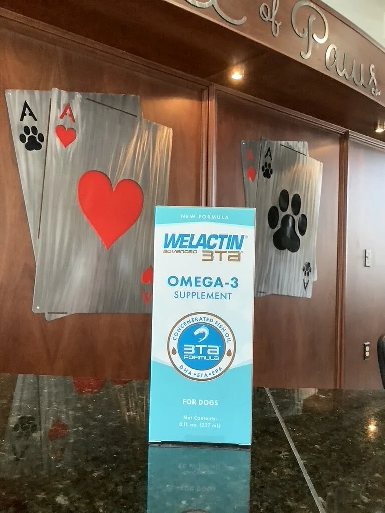 DFF85F7A-7A4F-4C99-876A-6EC0315D6C2A_1_105_c (1).jpeg