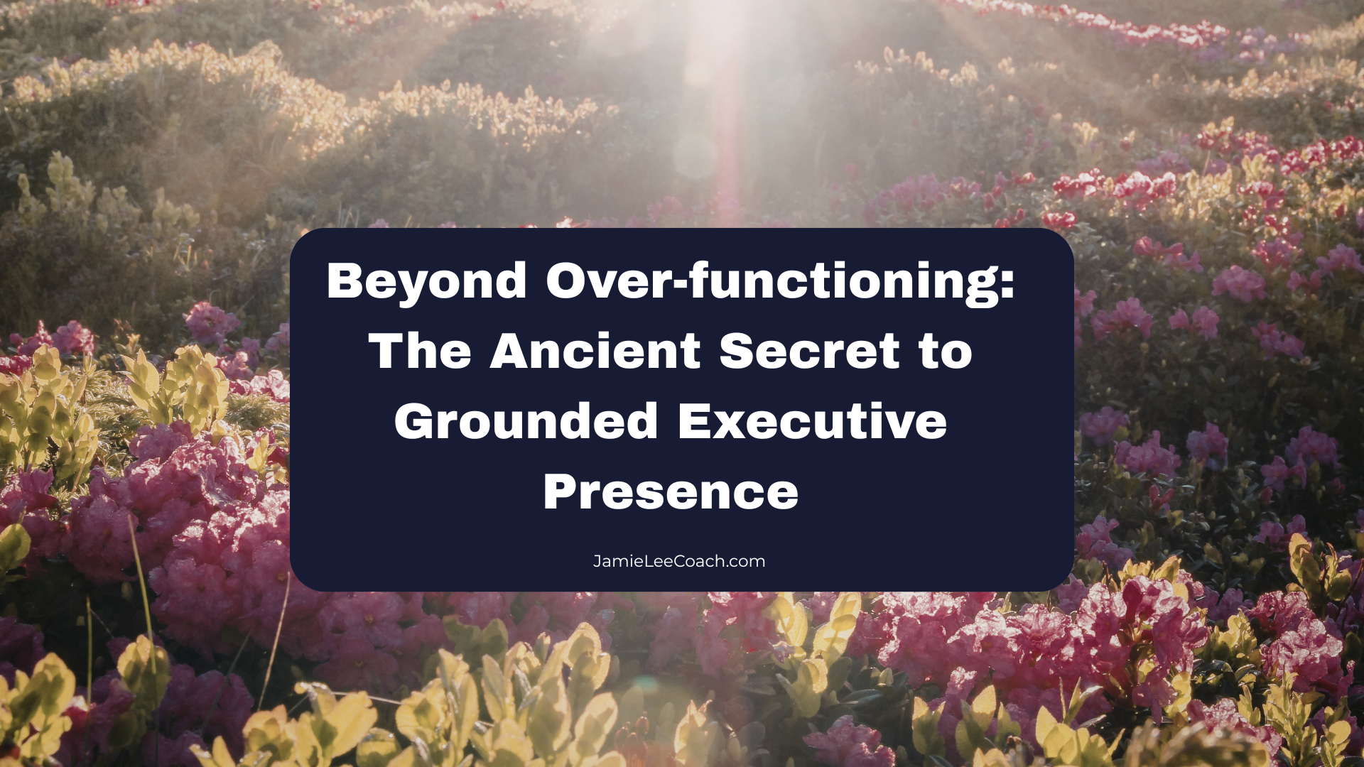 Beyond Over-Functioning: The Ancient Secret to Grounded Executive Presence