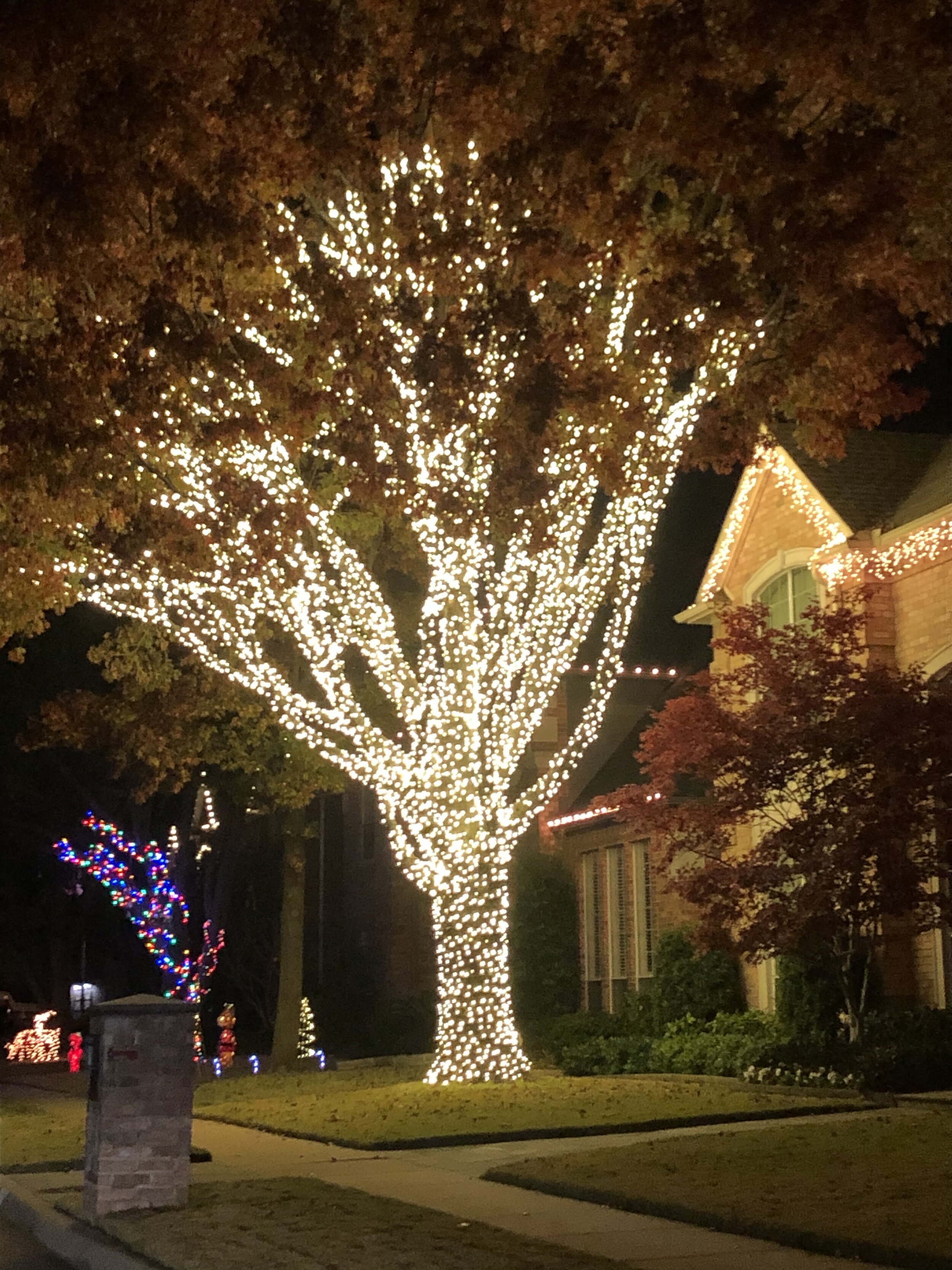 Seasonal Lighting — Enviroscape Services