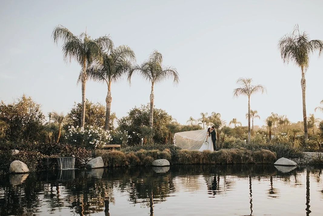 Nicole and Fabian&rsquo;s wedding was absolutely stunning, golden hour photos are always a win. The whole day was so much fun! ✨