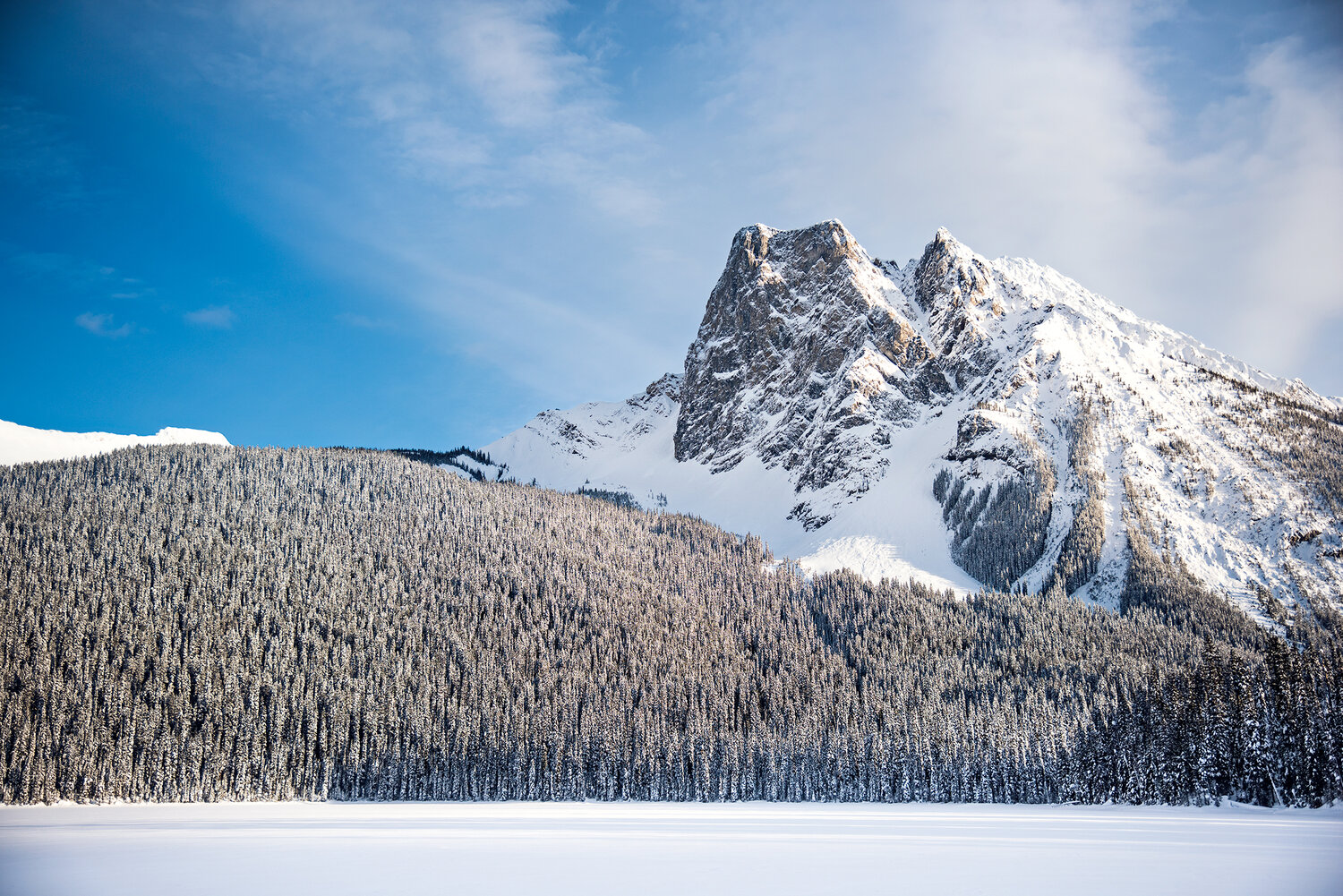 mount burgess_emerald lake lodge_l_wsrgb.jpg