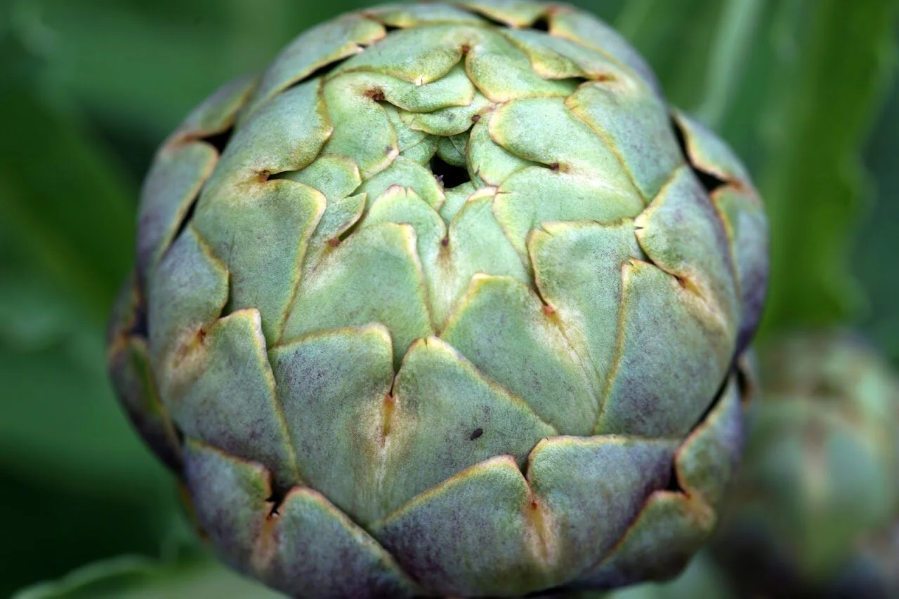 Our virtual community medicine cabinet