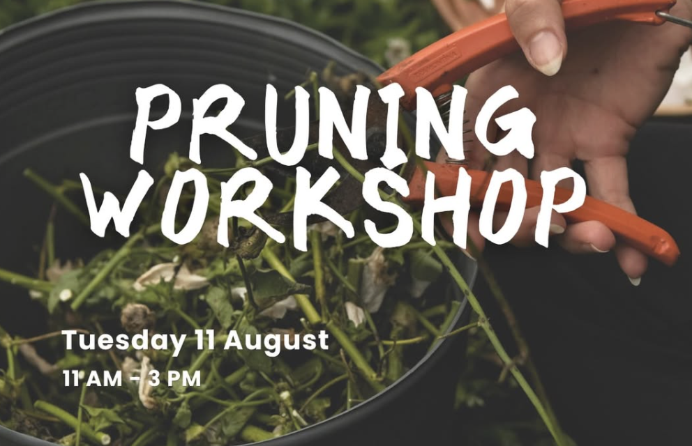 Pruning workshop