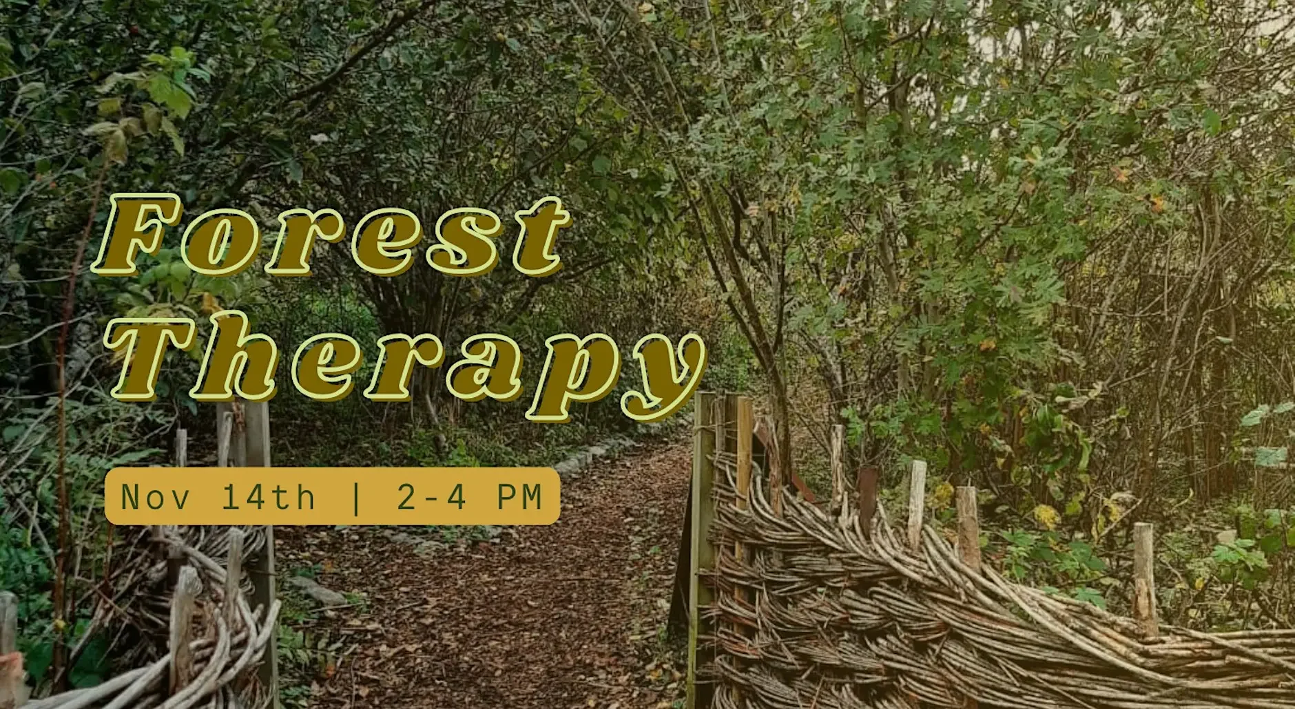 Forest Therapy at the Peace Garden