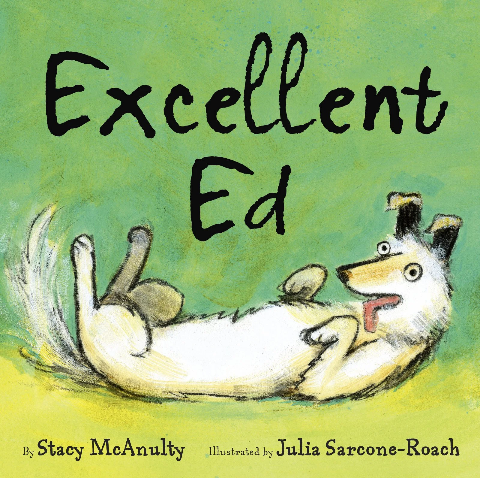 McAnulty, Stacy 2016_05 EXCELLENT ED - PB - RLM LK.jpg
