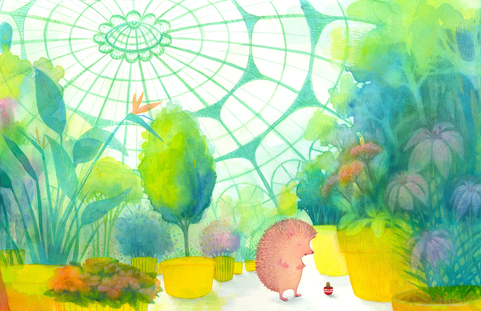 02 Hegehog_and_Cactus_10,11.jpg