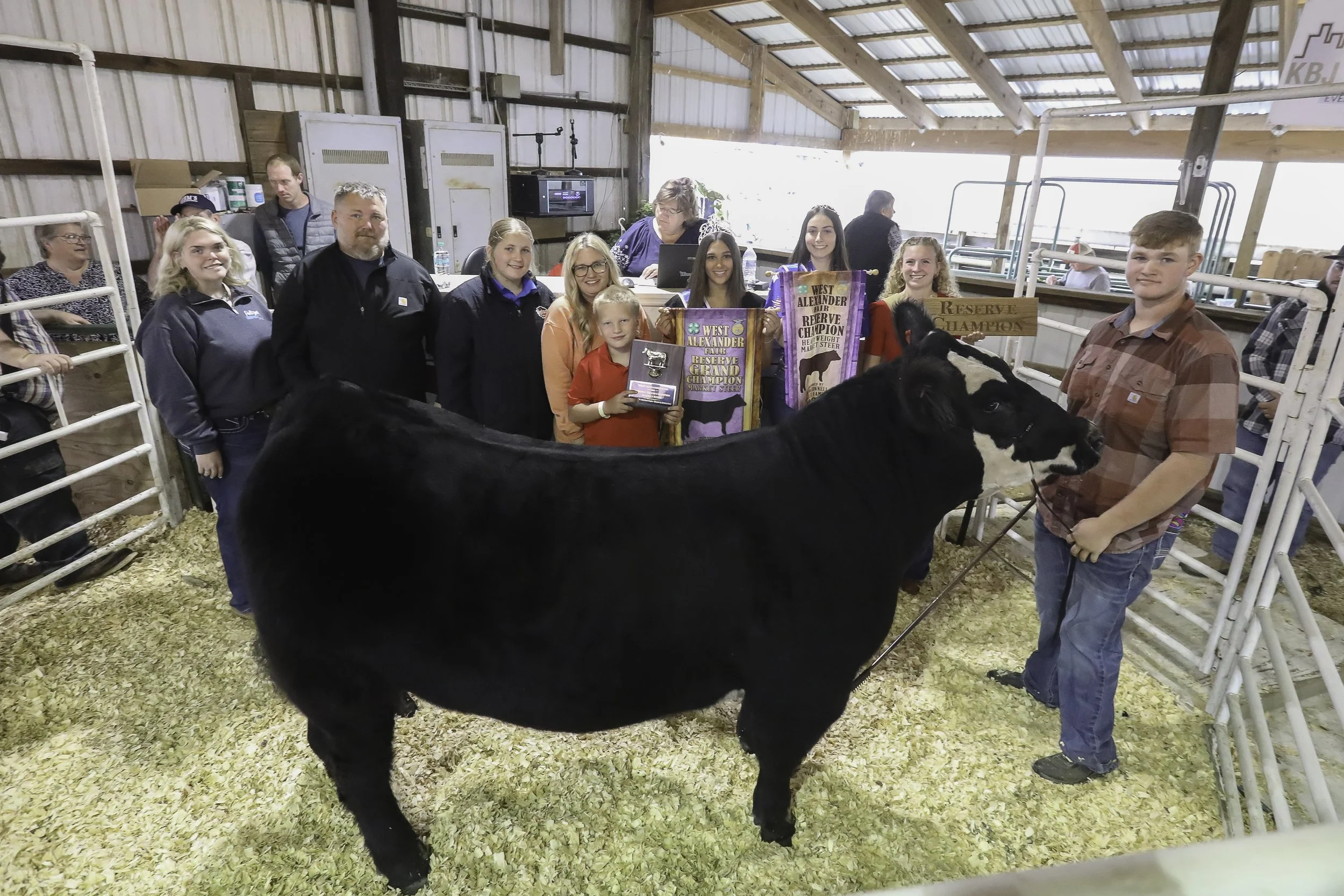Reserved Champion Steer