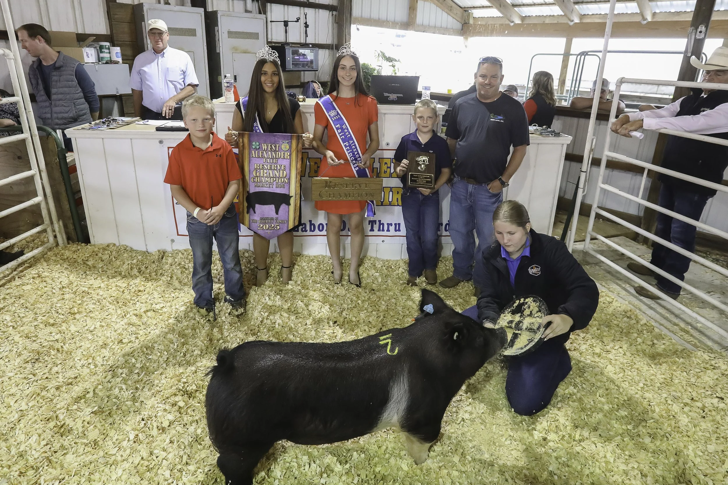 Reserved Champion Hog